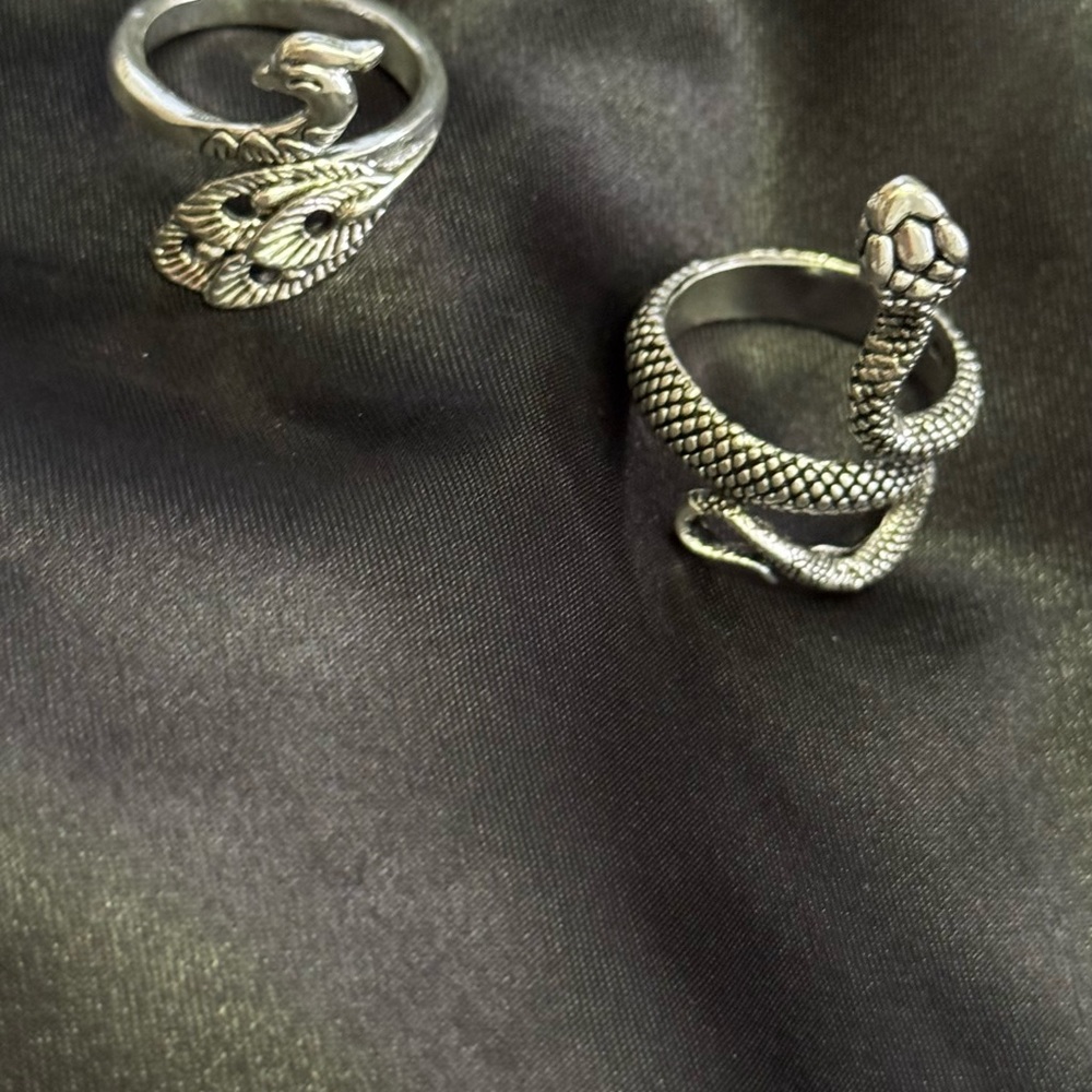 Silver Snake and Feather Rings